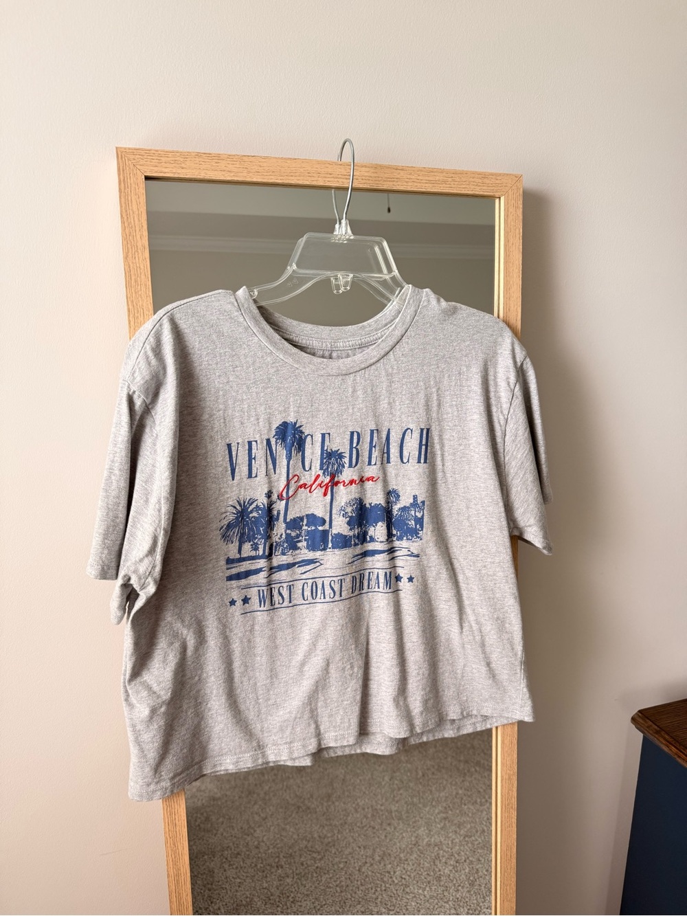 Gray Venice Beach Graphic Crop Top - Unbranded